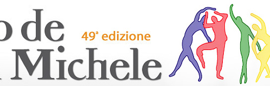 Graficher&ograve;-Portfolio-Ente Palio de San Michele
